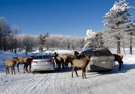 parc omega car tour price|omega park montreal.